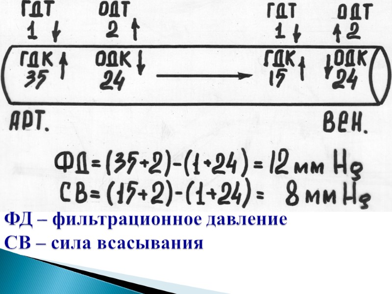 ФД – фильтрационное давление СВ – сила всасывания